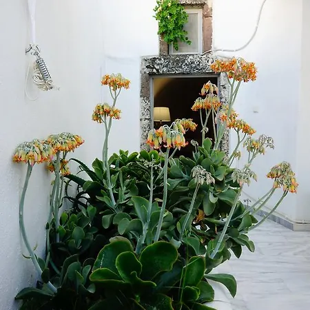 Bellissimo Appartamento Santorini Island